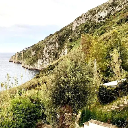 Villa House Overlooking The Bay - Seaview